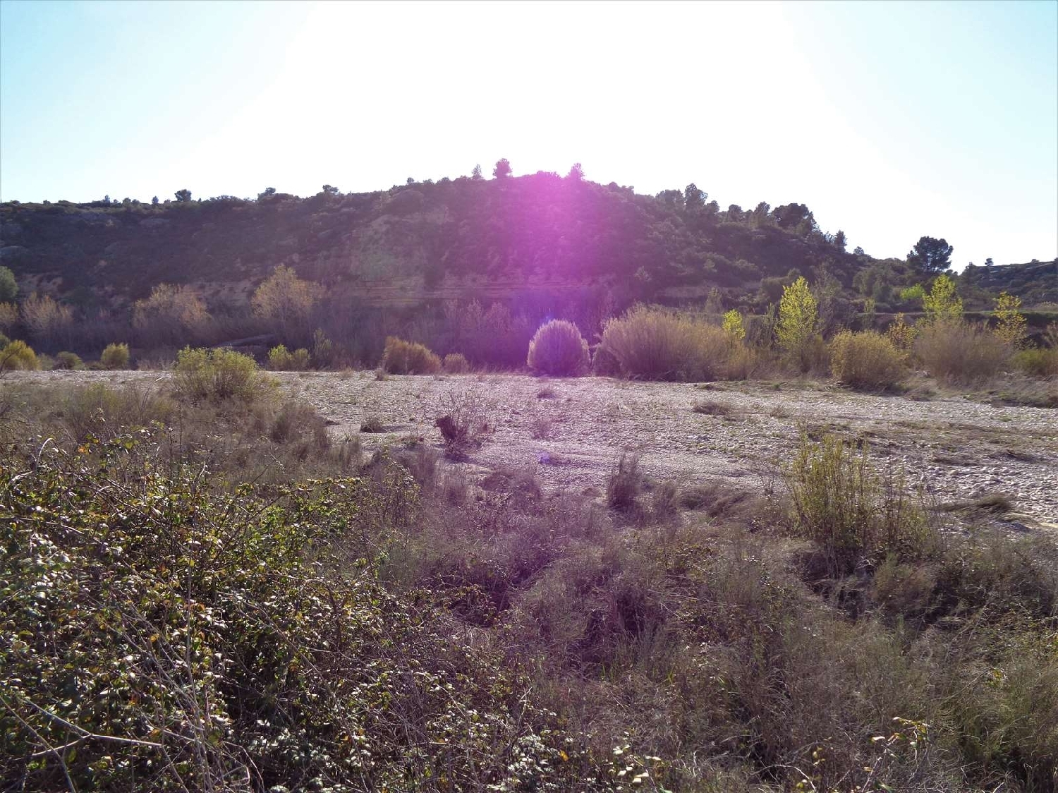  à vendre maison de campagne Maella Bajo Aragón-Caspe 2