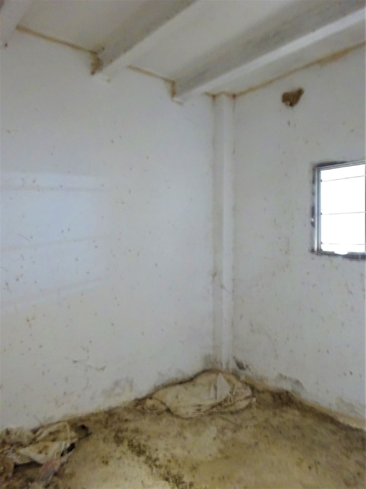  kaufen Landhaus Maella Bajo Aragón-Caspe 11