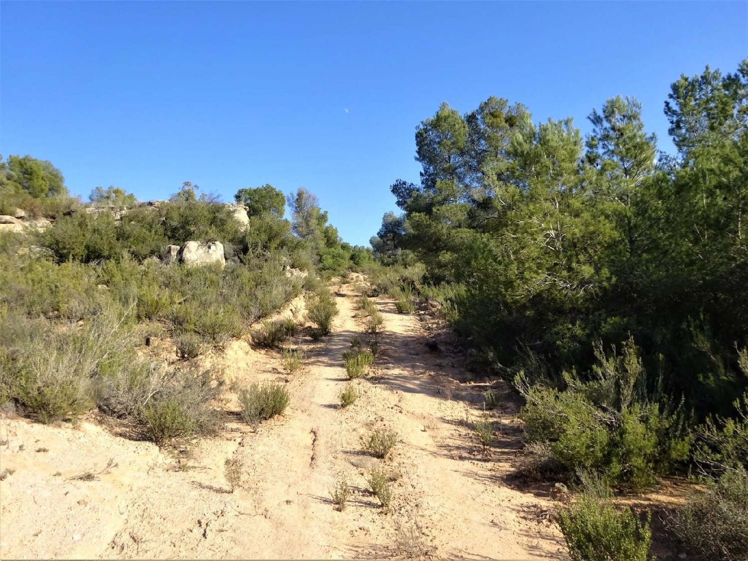  à vendre maison de campagne Maella Bajo Aragón-Caspe 11
