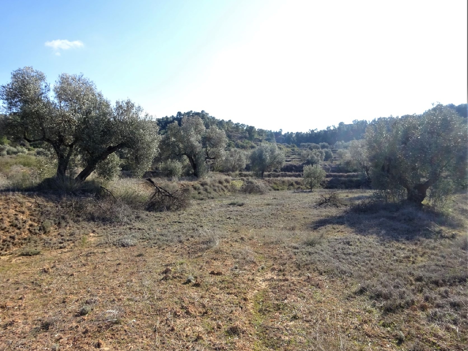  à vendre maison de campagne Maella Bajo Aragón-Caspe 5