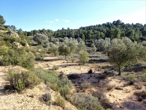 Maella Bajo Aragón-Caspe Landhaus Bild 6271087