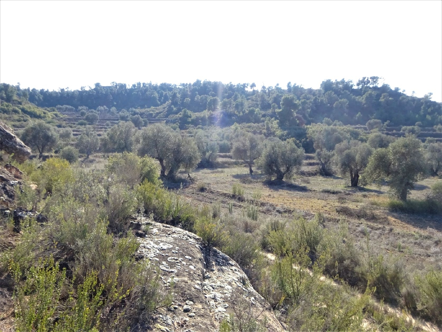  à vendre maison de campagne Maella Bajo Aragón-Caspe 3