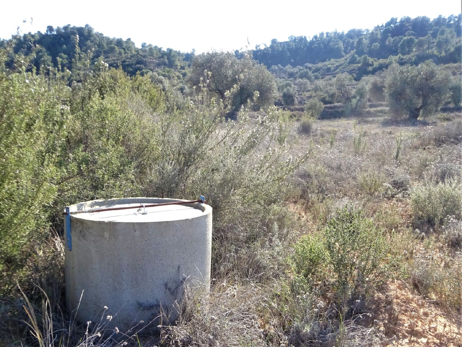  à vendre maison de campagne Maella Bajo Aragón-Caspe 4