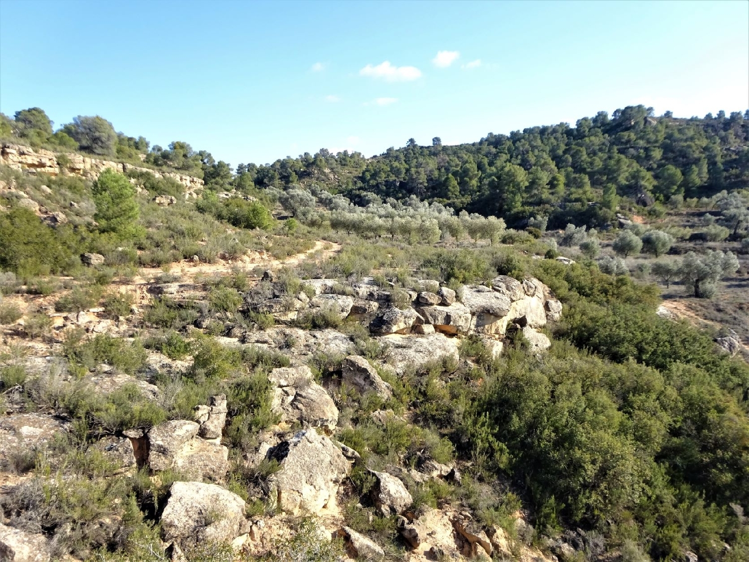  à vendre maison de campagne Maella Bajo Aragón-Caspe 13