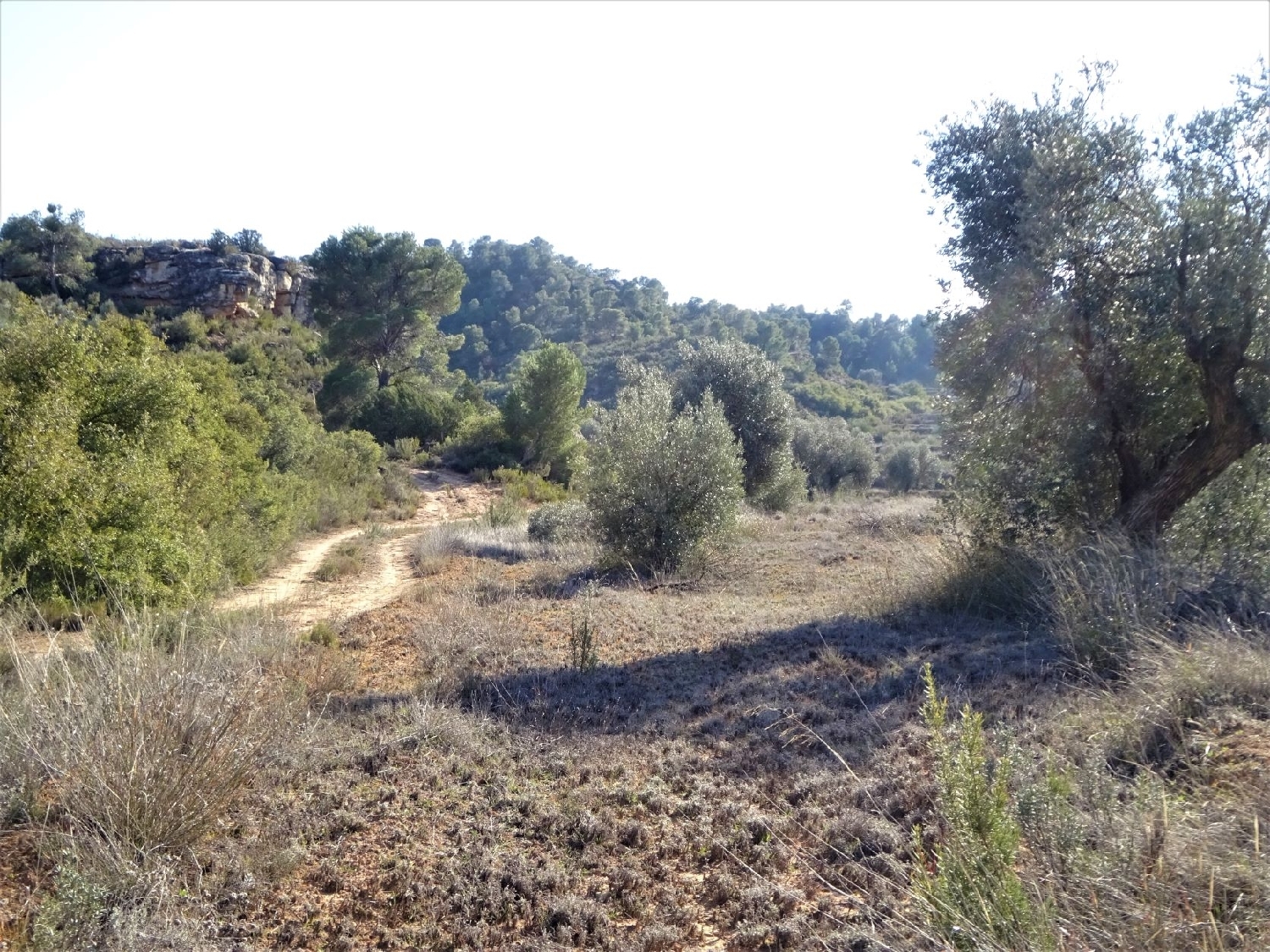  à vendre maison de campagne Maella Bajo Aragón-Caspe 2