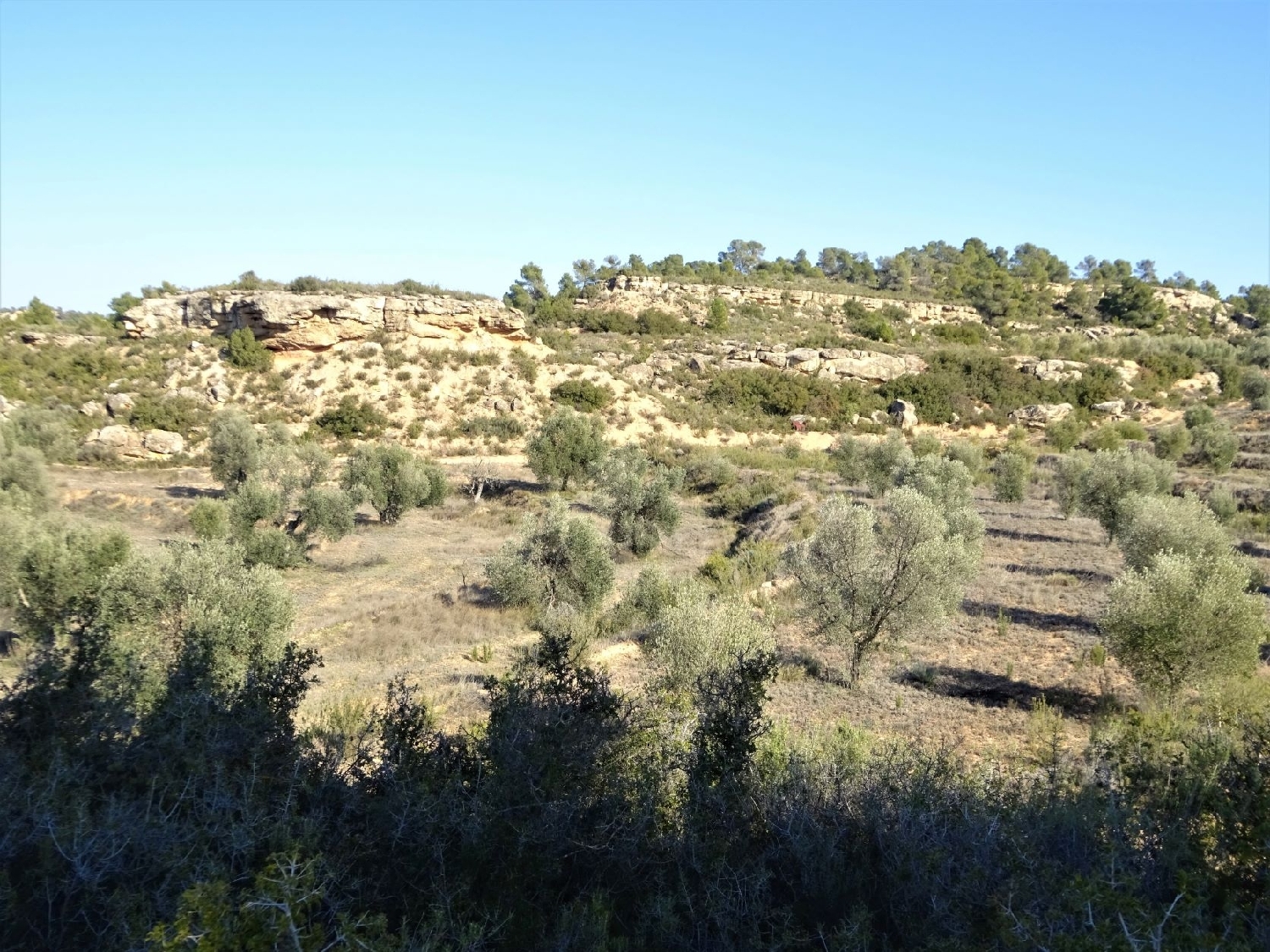  à vendre maison de campagne Maella Bajo Aragón-Caspe 9
