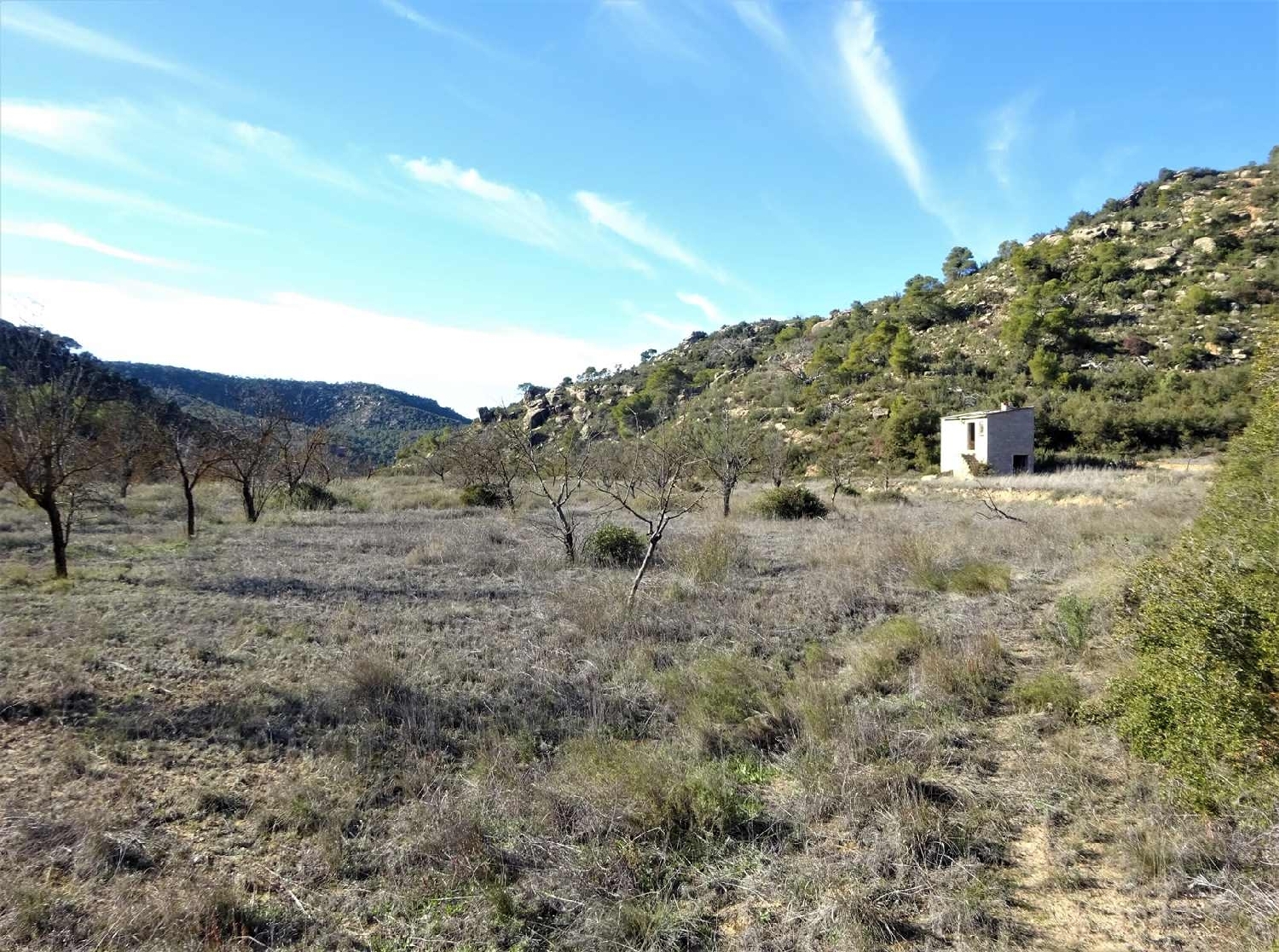  kaufen Landhaus Maella Bajo Aragón-Caspe 7