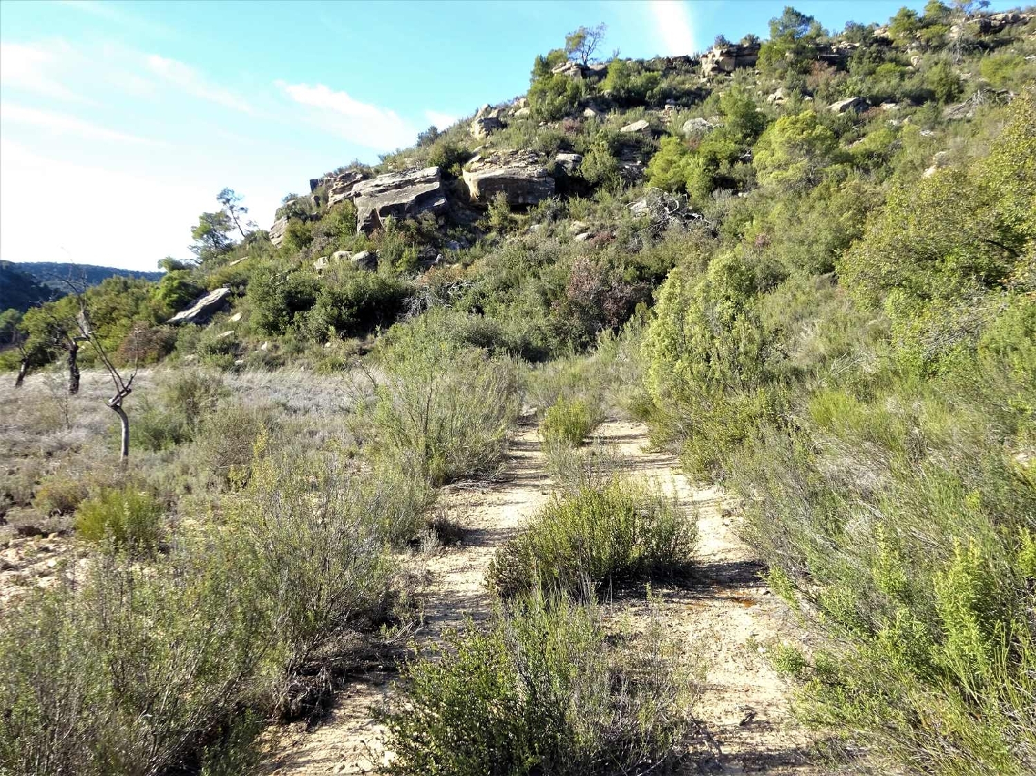  kaufen Landhaus Maella Bajo Aragón-Caspe 5
