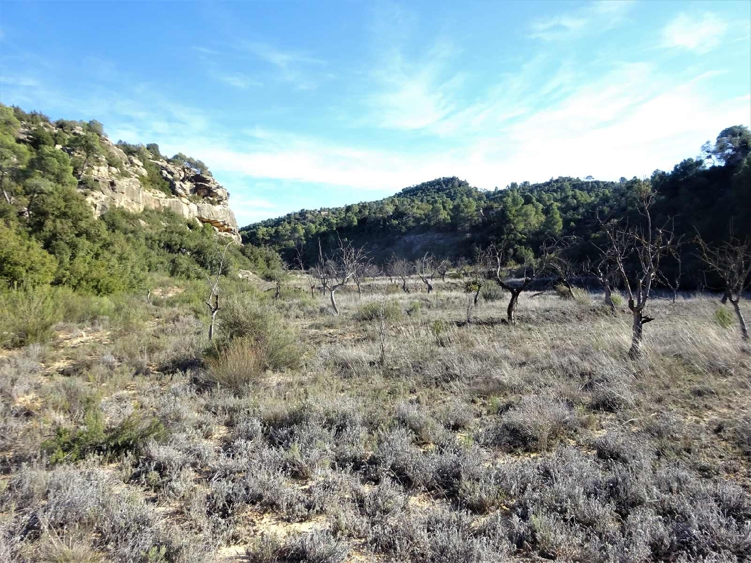  kaufen Landhaus Maella Bajo Aragón-Caspe 6