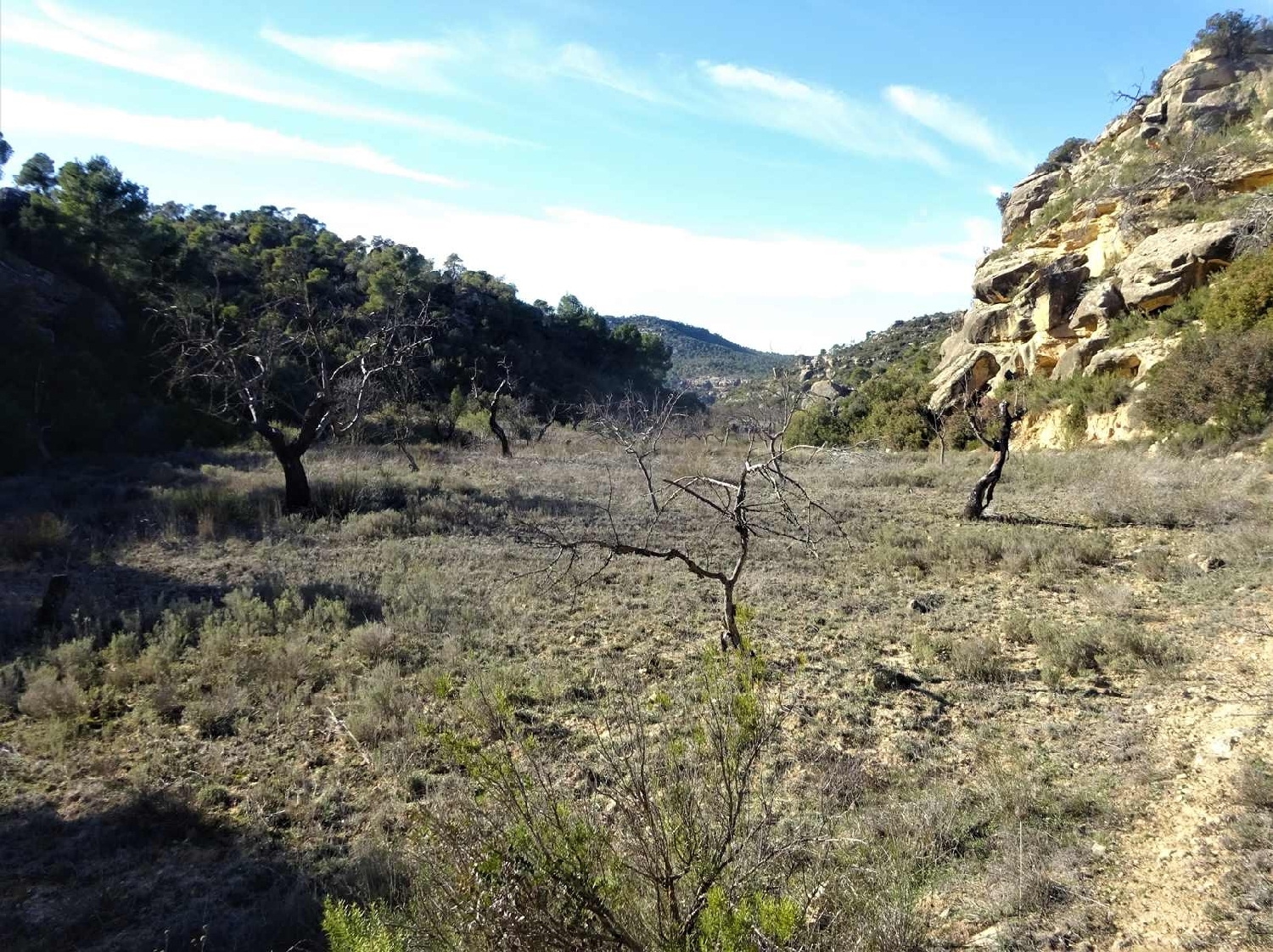  kaufen Landhaus Maella Bajo Aragón-Caspe 2