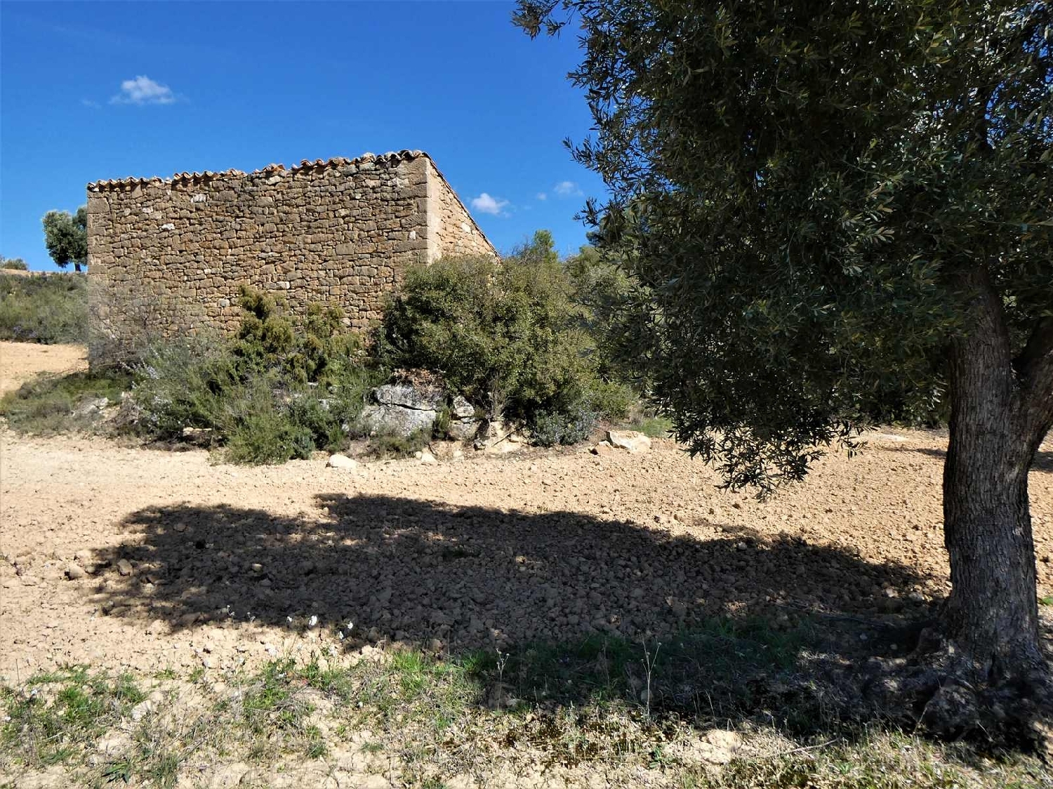  à vendre maison de campagne Maella Bajo Aragón-Caspe 14