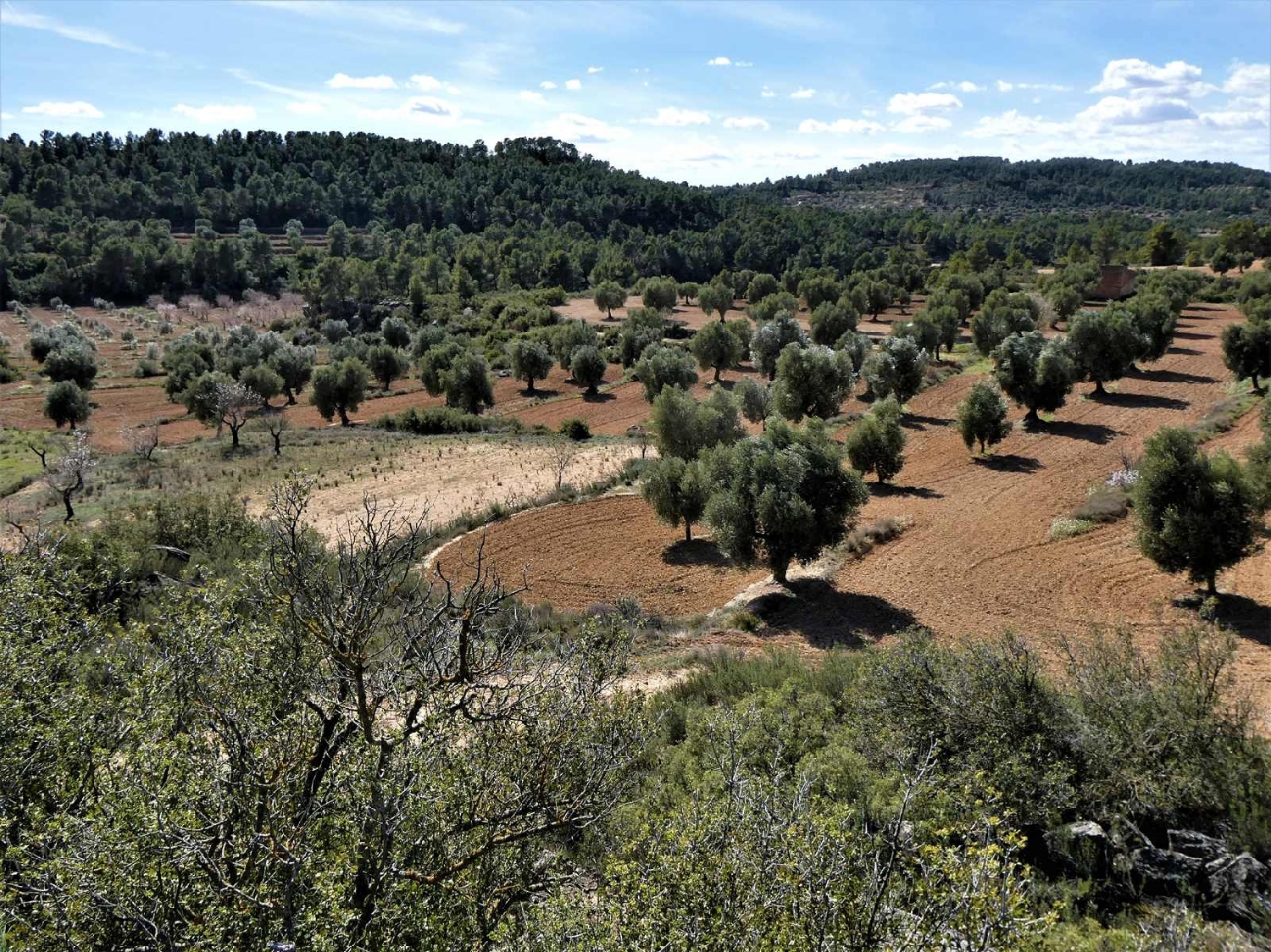  à vendre maison de campagne Maella Bajo Aragón-Caspe 11