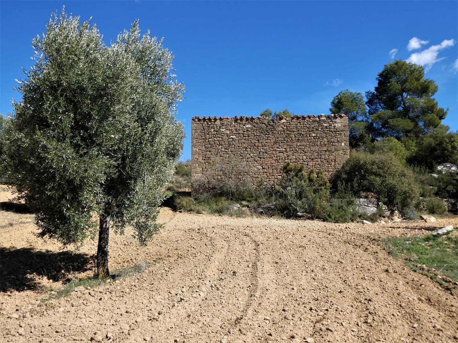  à vendre maison de campagne Maella Bajo Aragón-Caspe 15