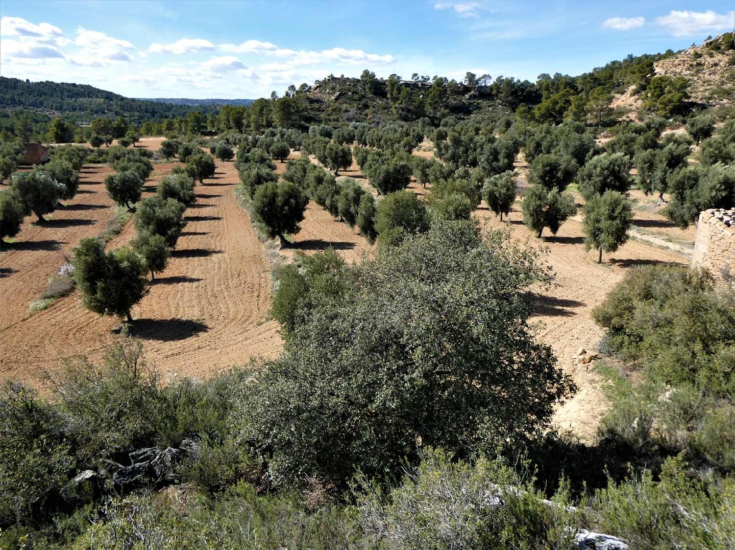  à vendre maison de campagne Maella Bajo Aragón-Caspe 10