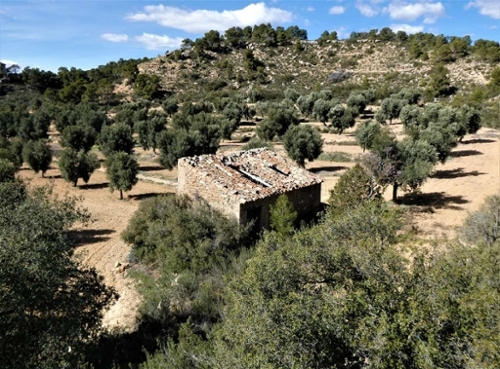 Maella Bajo Aragón-Caspe Landhaus Bild 6271095