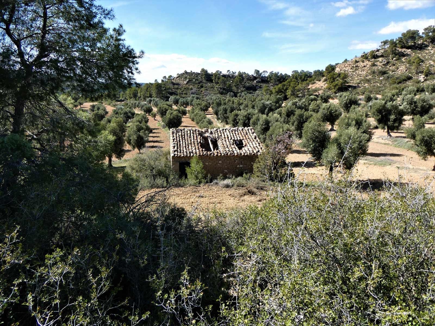  à vendre maison de campagne Maella Bajo Aragón-Caspe 2