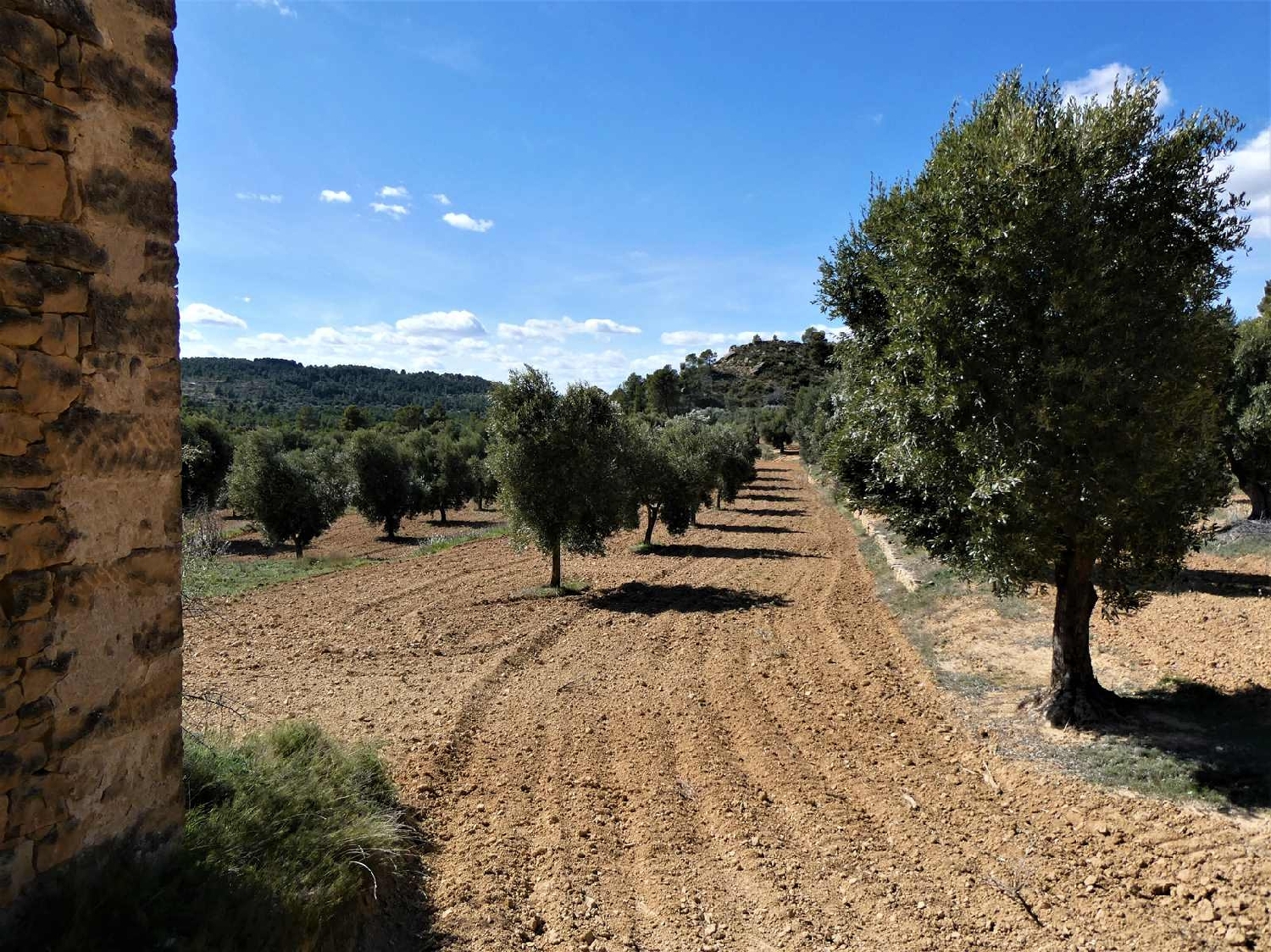  à vendre maison de campagne Maella Bajo Aragón-Caspe 8