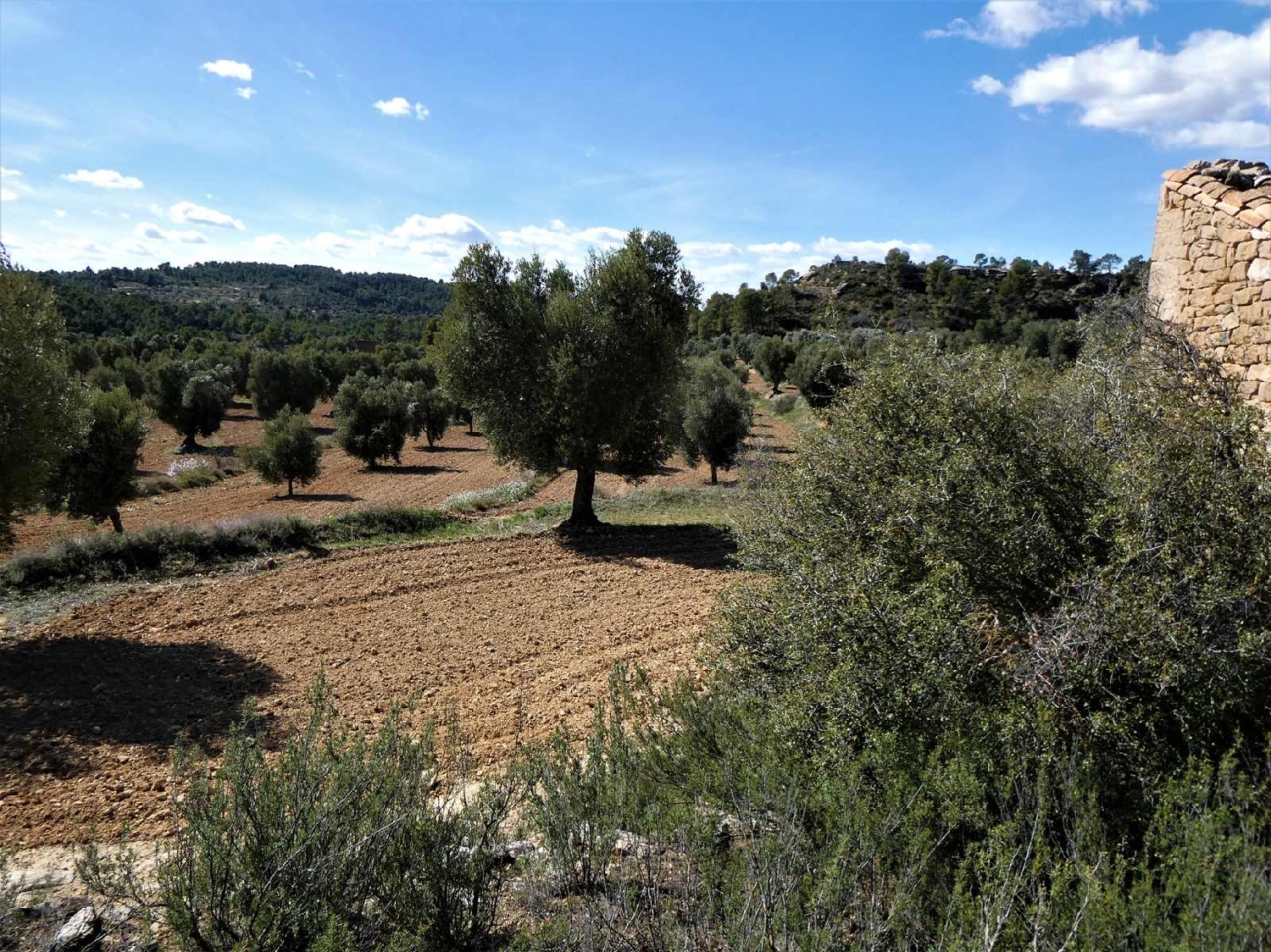  à vendre maison de campagne Maella Bajo Aragón-Caspe 13