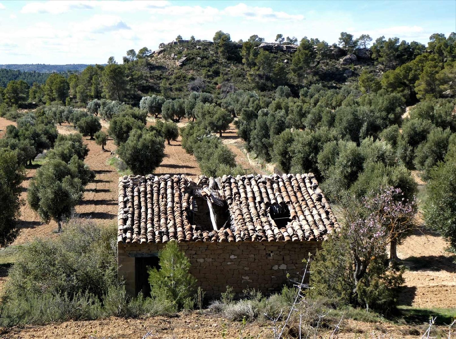  à vendre maison de campagne Maella Bajo Aragón-Caspe 3