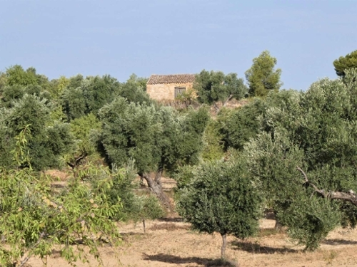 Maella Bajo Aragón-Caspe Landhaus Bild 6271096
