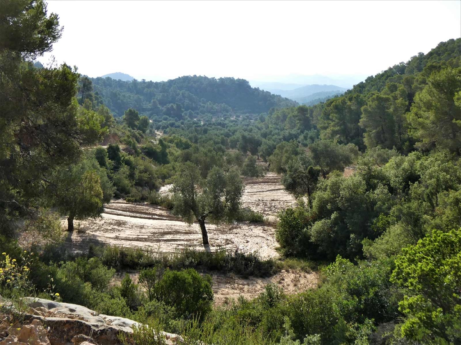  kaufen Landhaus Maella Bajo Aragón-Caspe 14