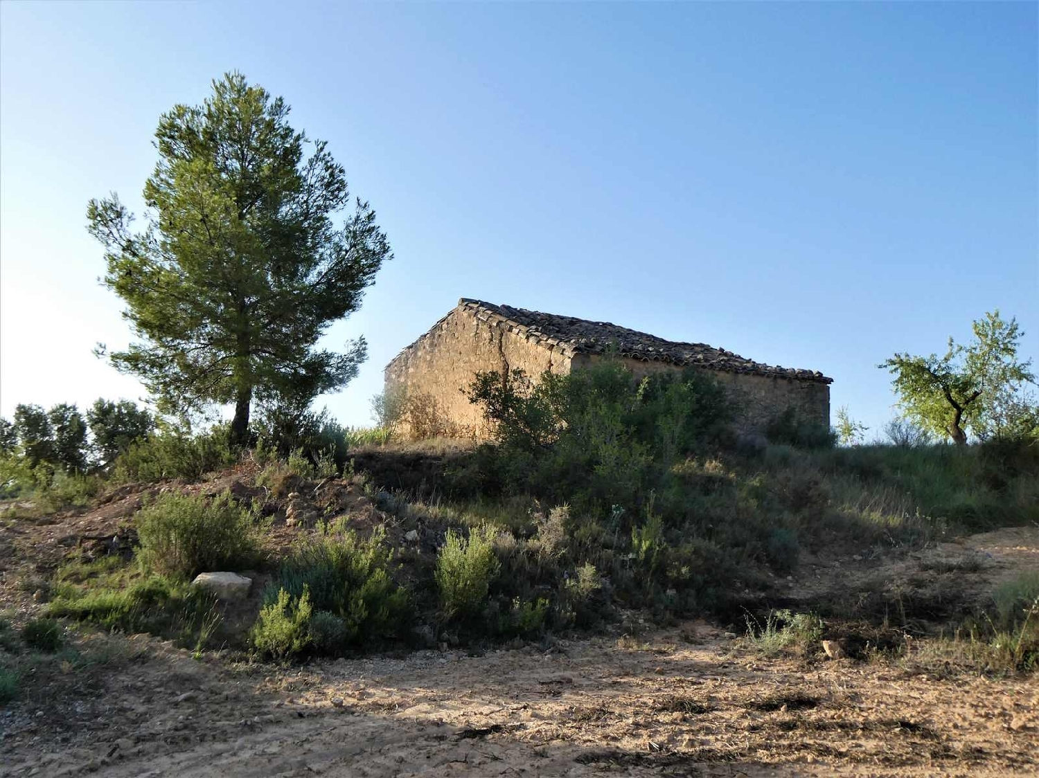  kaufen Landhaus Maella Bajo Aragón-Caspe 12