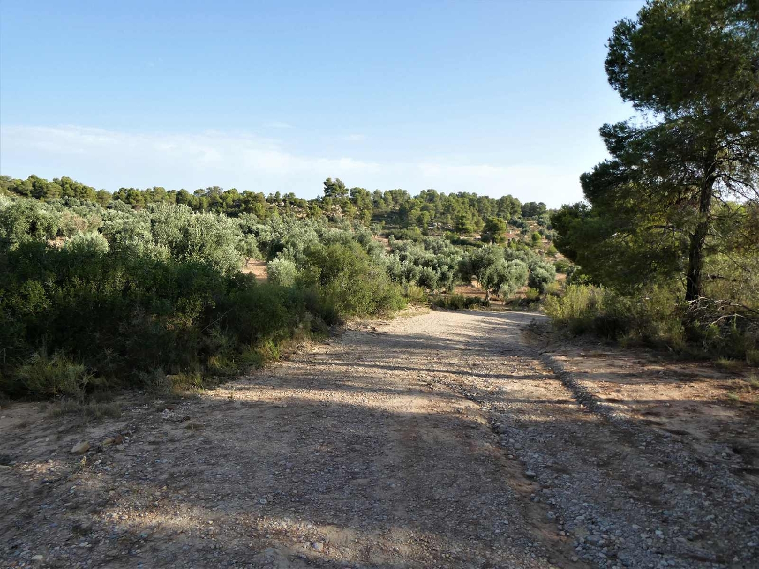  kaufen Landhaus Maella Bajo Aragón-Caspe 13