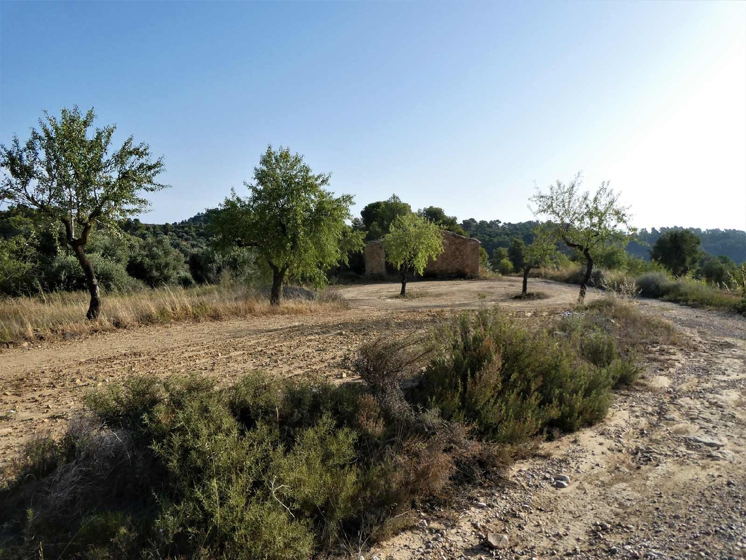  kaufen Landhaus Maella Bajo Aragón-Caspe 2