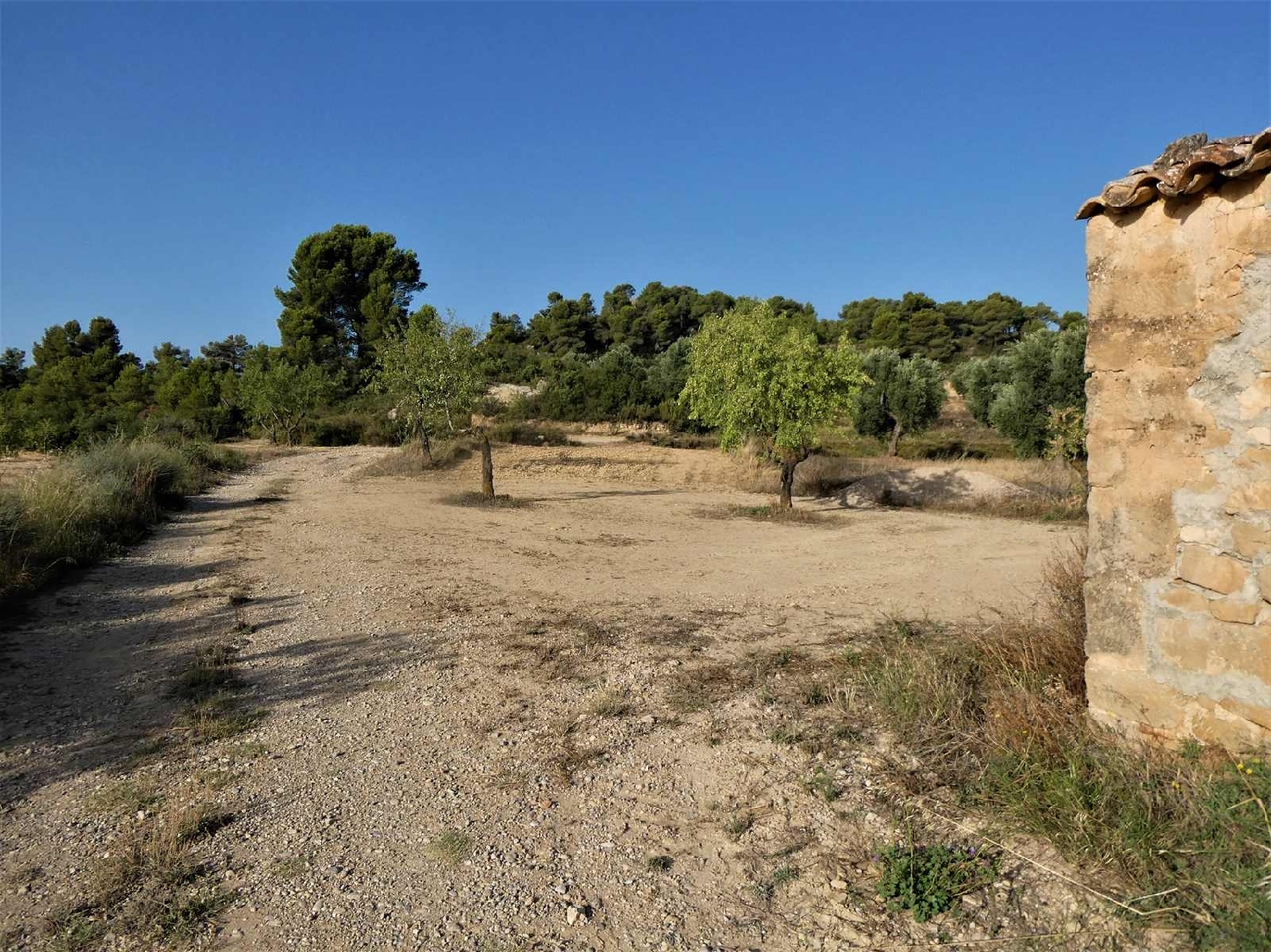  kaufen Landhaus Maella Bajo Aragón-Caspe 7