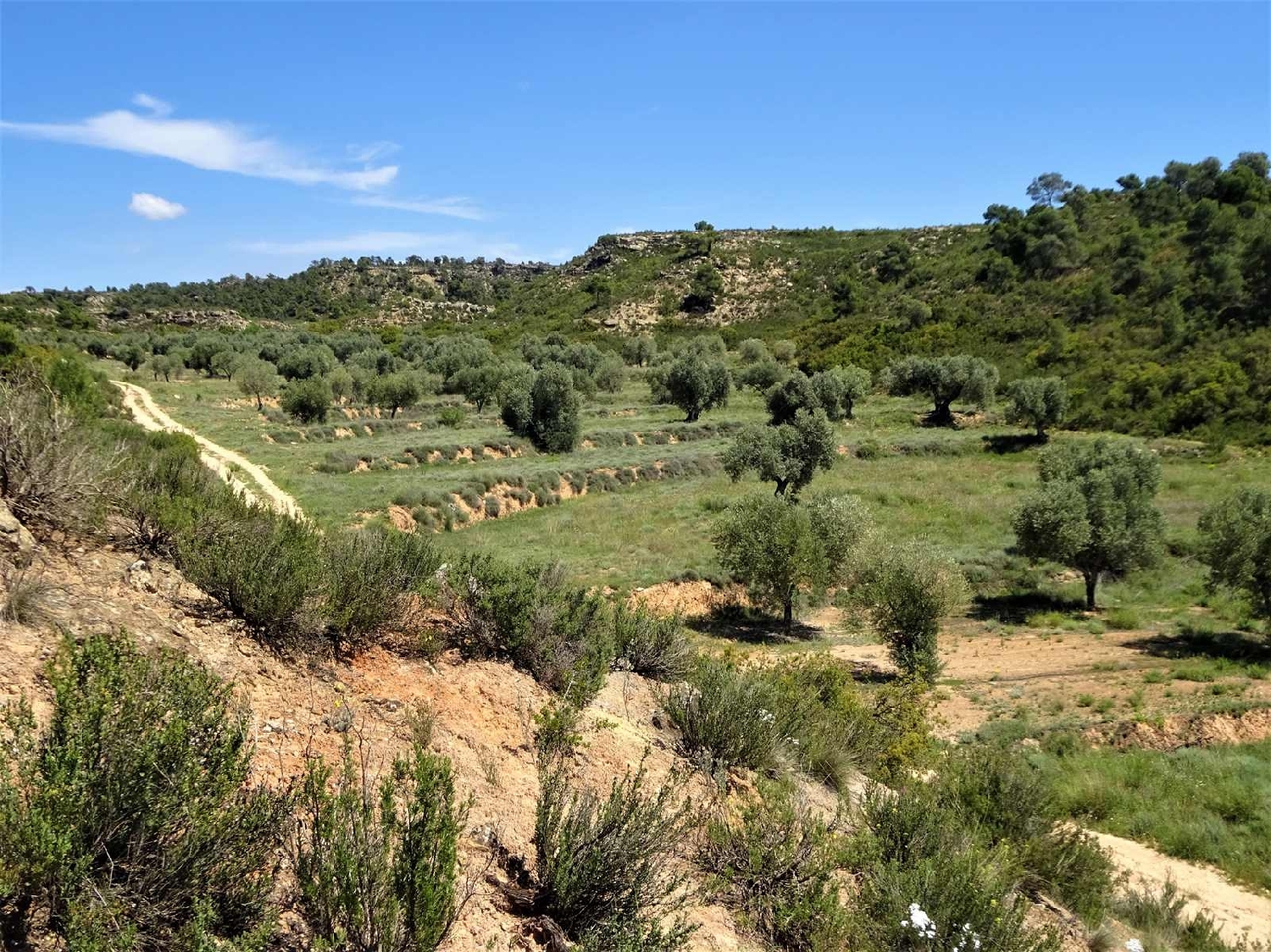  kaufen Landhaus Maella Bajo Aragón-Caspe 3