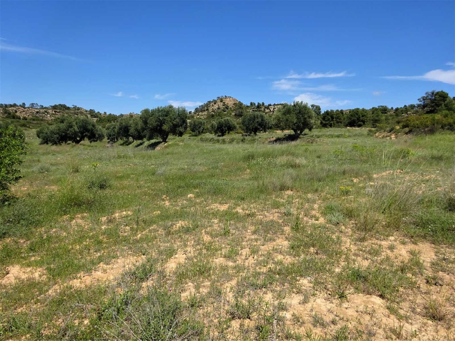  kaufen Landhaus Maella Bajo Aragón-Caspe 13