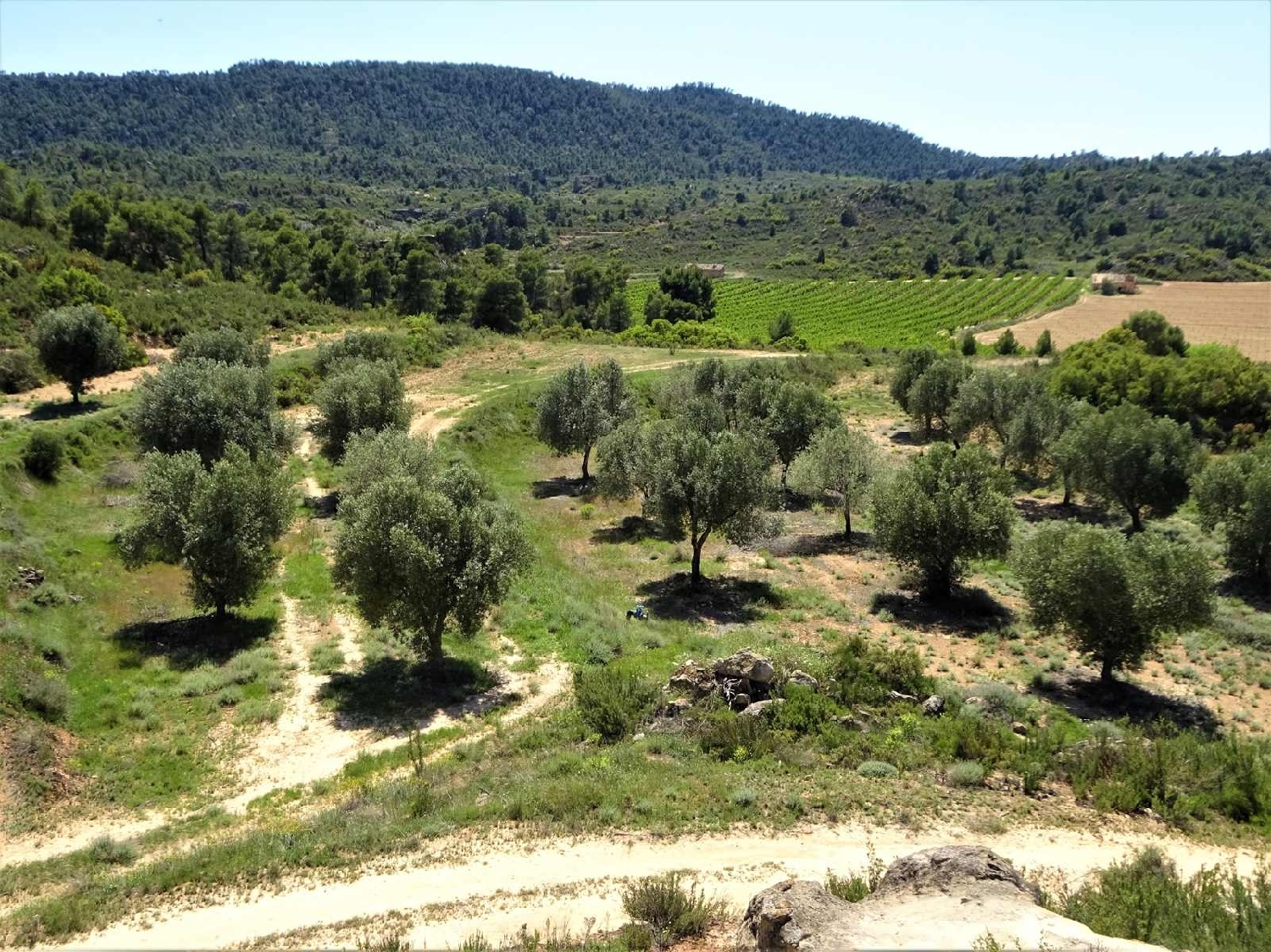  kaufen Landhaus Maella Bajo Aragón-Caspe 6
