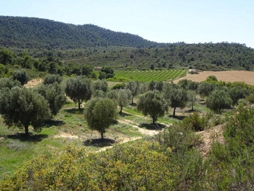 Maella Bajo Aragón-Caspe Landhaus Bild 6271098