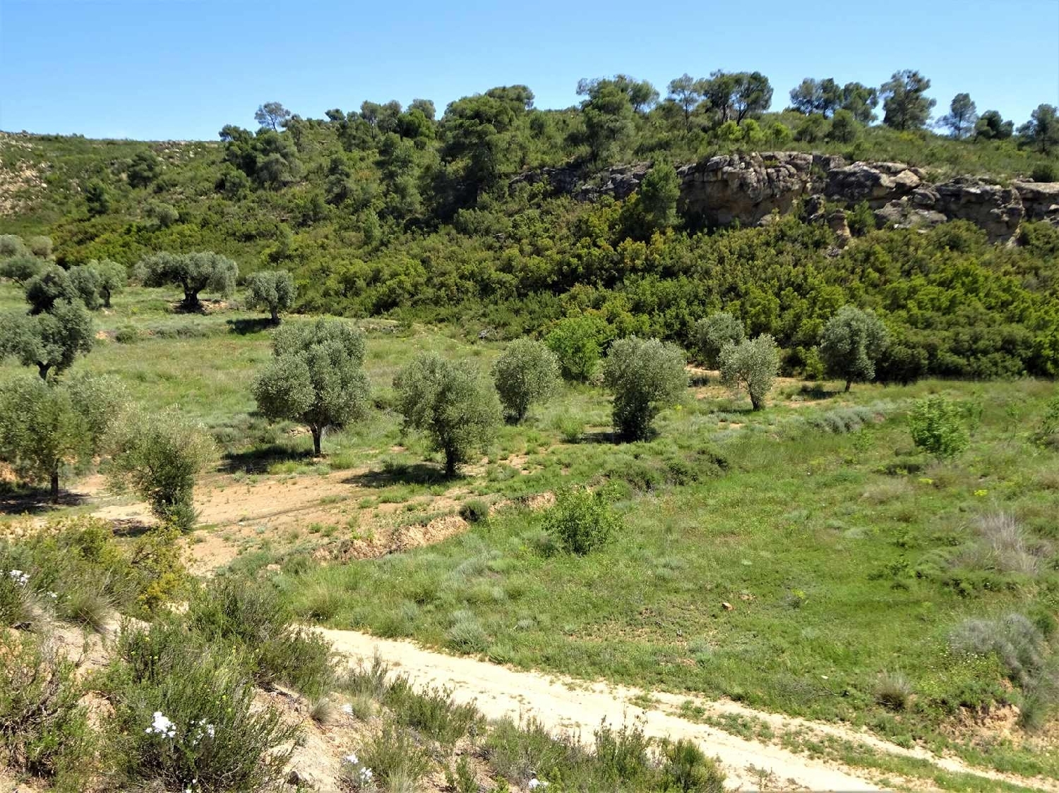  kaufen Landhaus Maella Bajo Aragón-Caspe 4