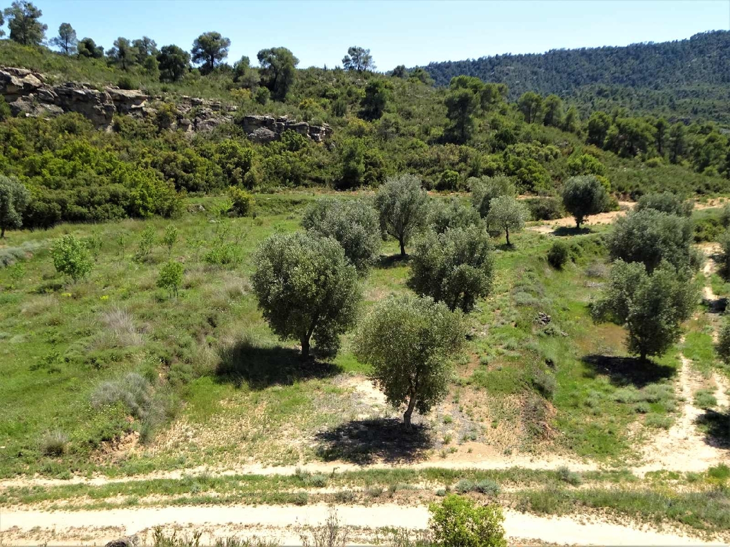  kaufen Landhaus Maella Bajo Aragón-Caspe 5
