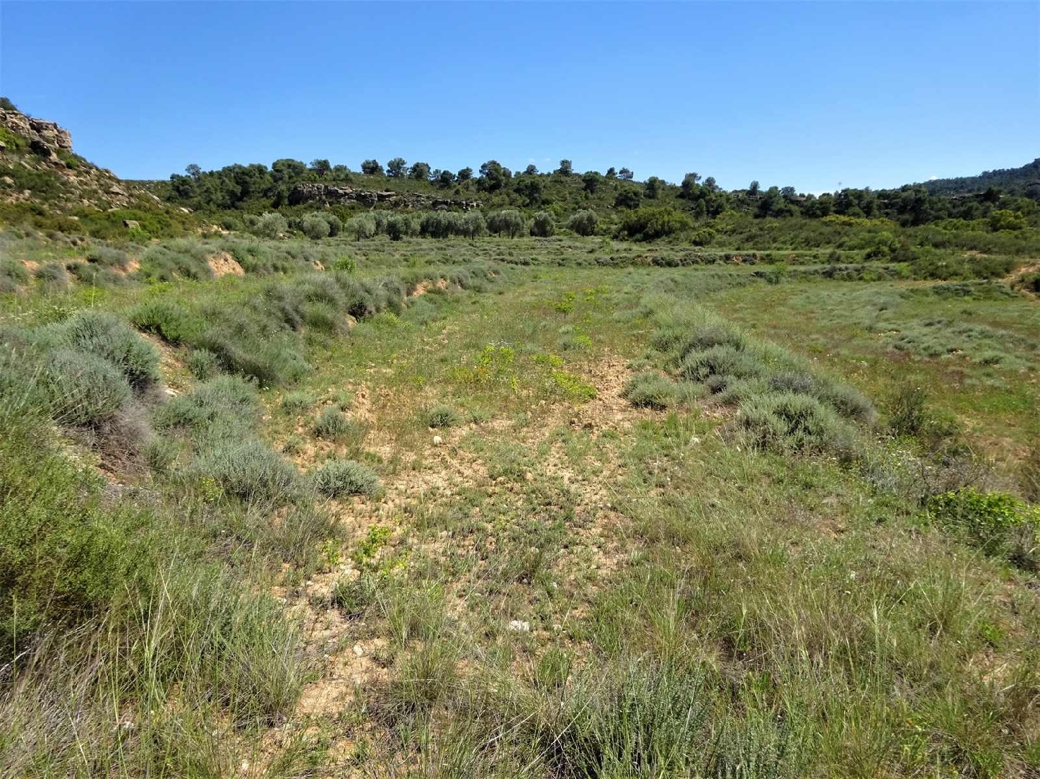  kaufen Landhaus Maella Bajo Aragón-Caspe 15