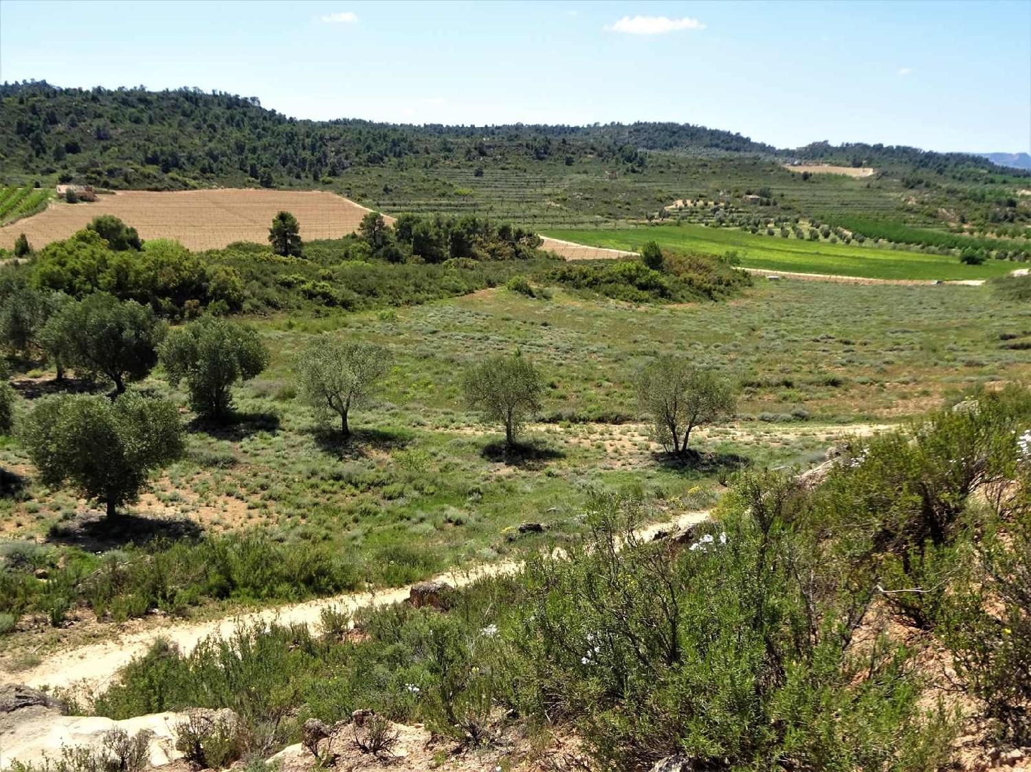  kaufen Landhaus Maella Bajo Aragón-Caspe 9
