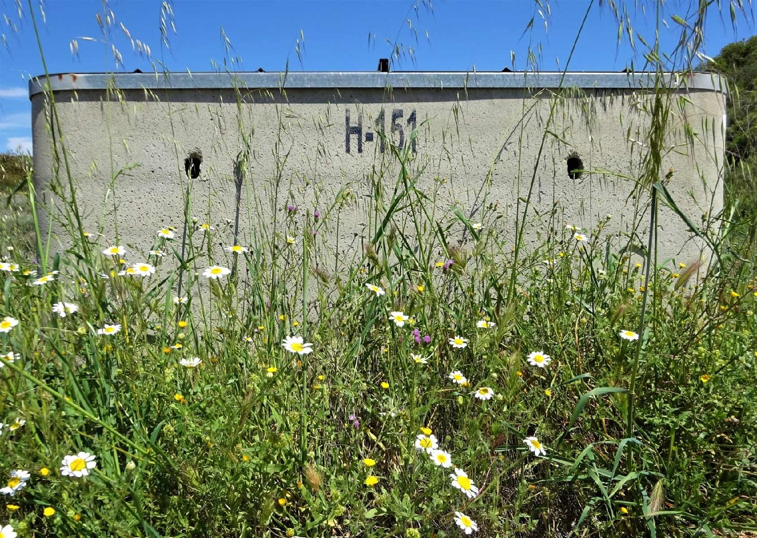  kaufen Landhaus Maella Bajo Aragón-Caspe 10