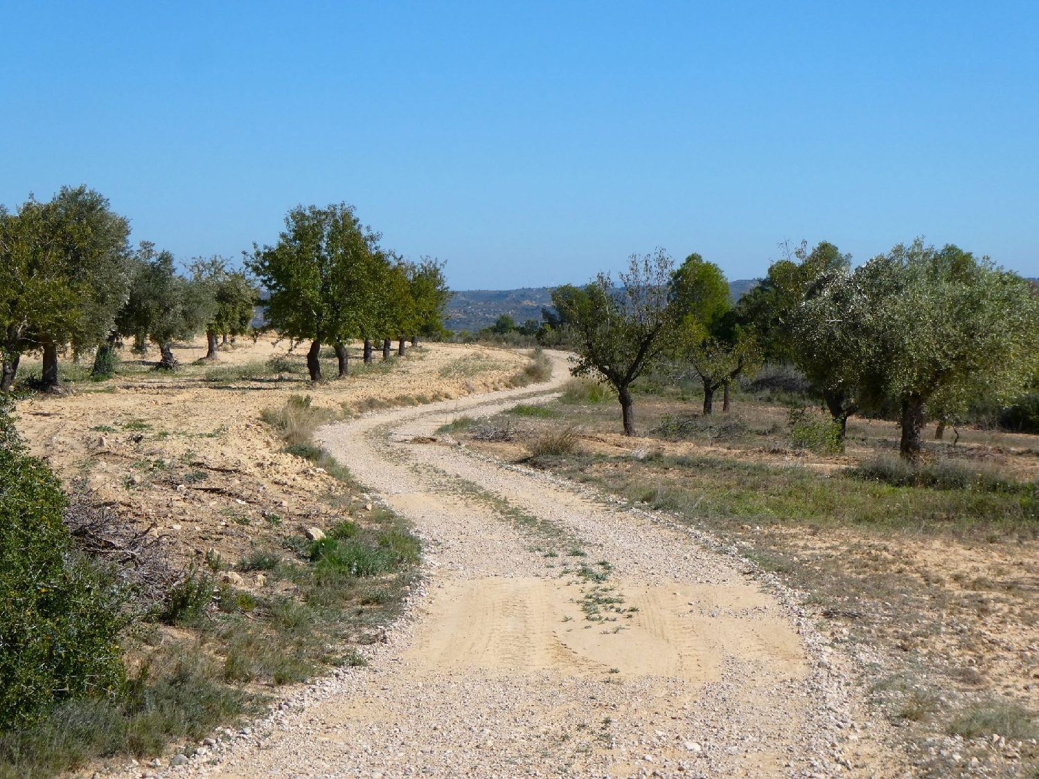  kaufen Landhaus Maella Bajo Aragón-Caspe 2