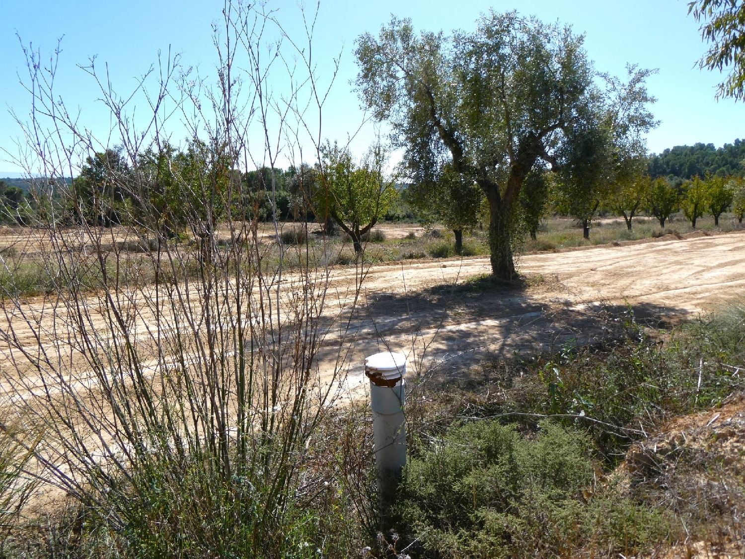  kaufen Landhaus Maella Bajo Aragón-Caspe 9