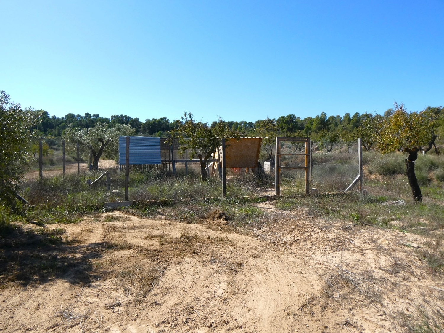  kaufen Landhaus Maella Bajo Aragón-Caspe 12