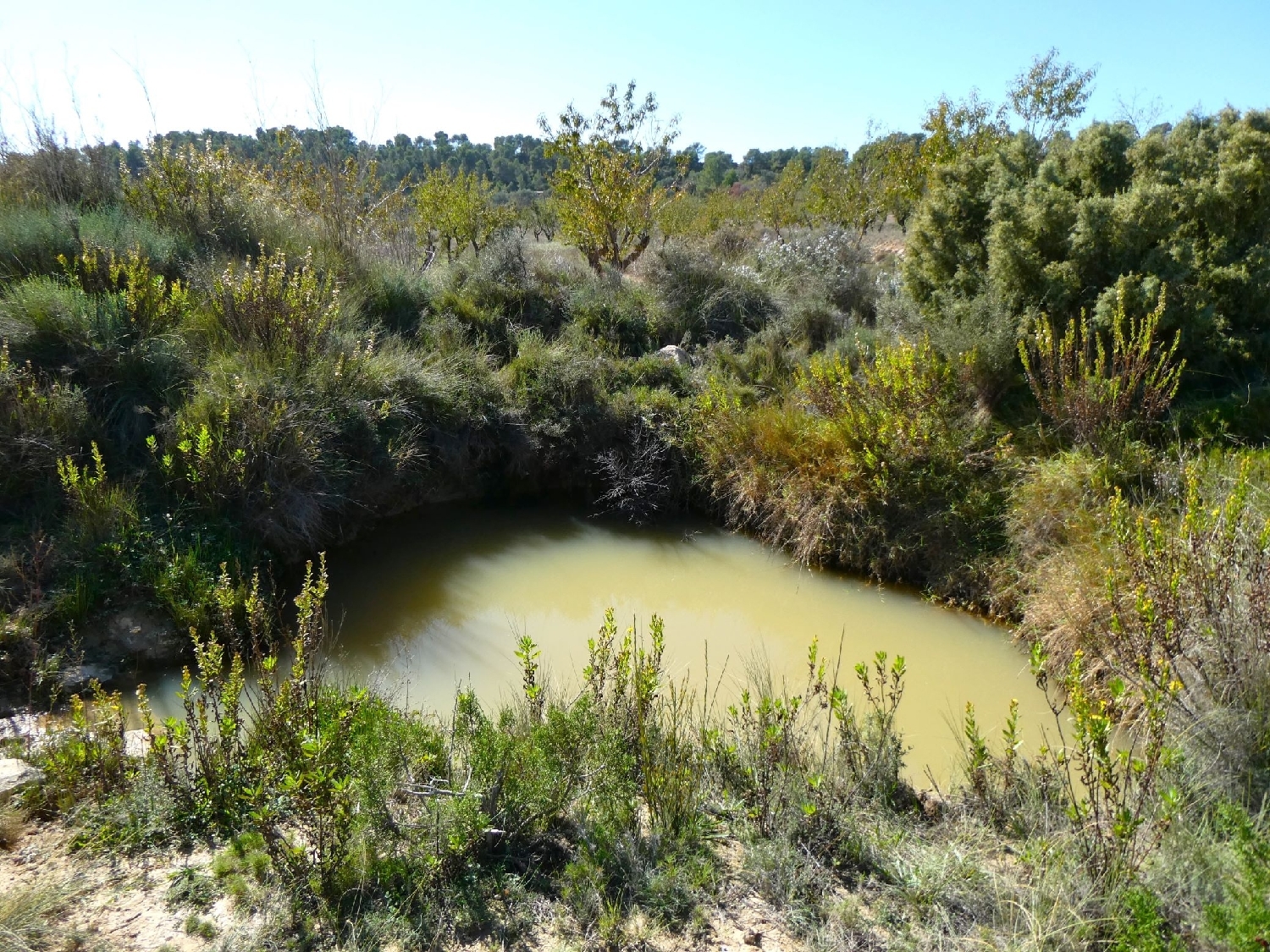  kaufen Landhaus Maella Bajo Aragón-Caspe 4