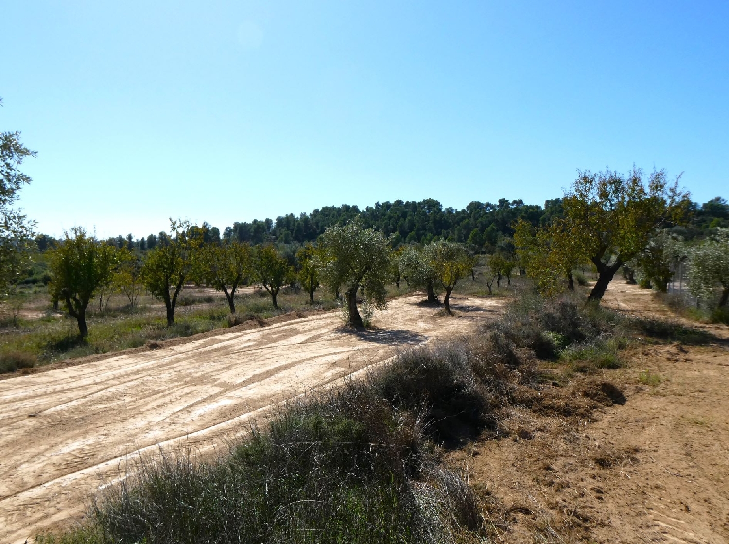  kaufen Landhaus Maella Bajo Aragón-Caspe 11