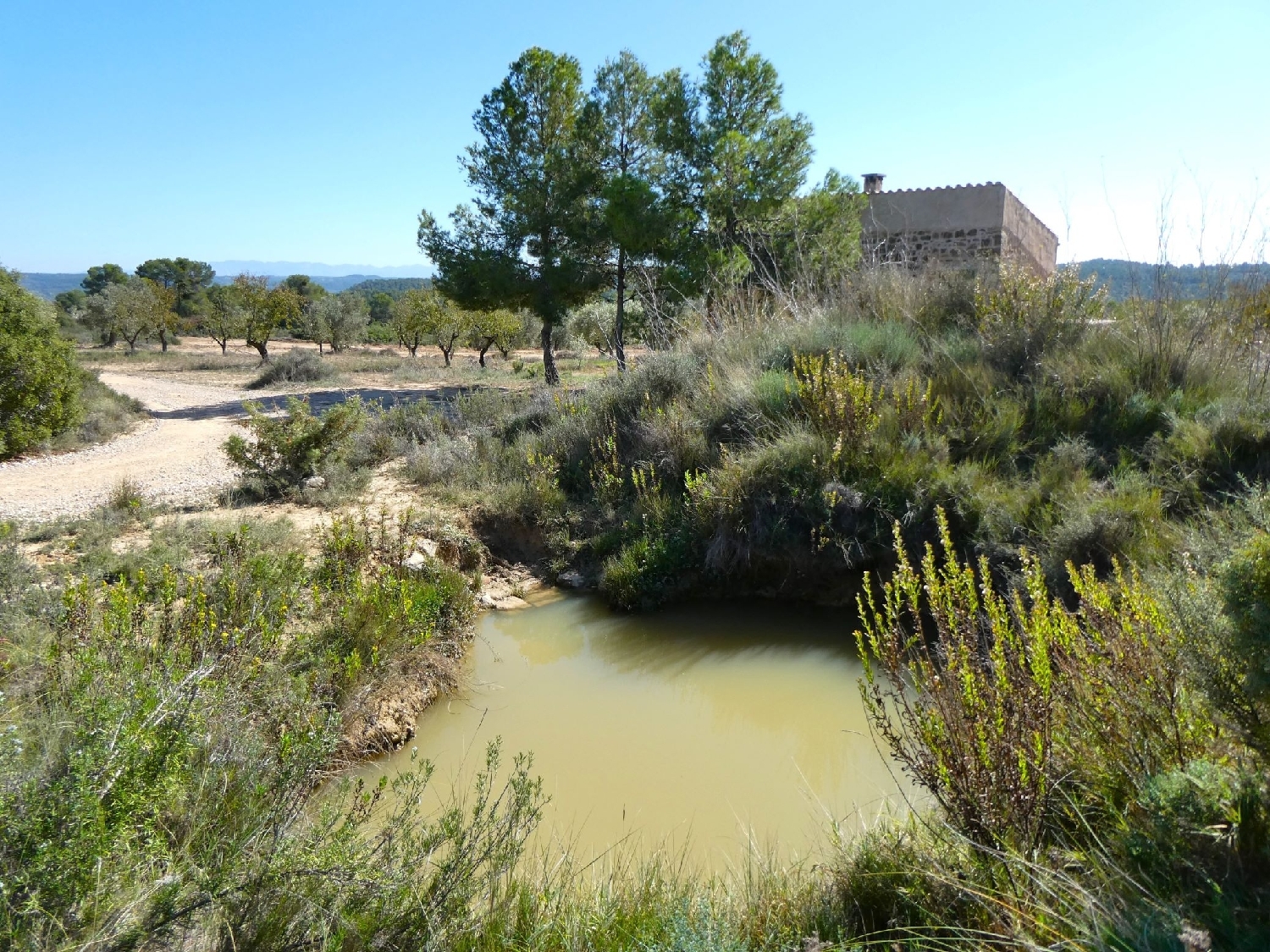  kaufen Landhaus Maella Bajo Aragón-Caspe 5