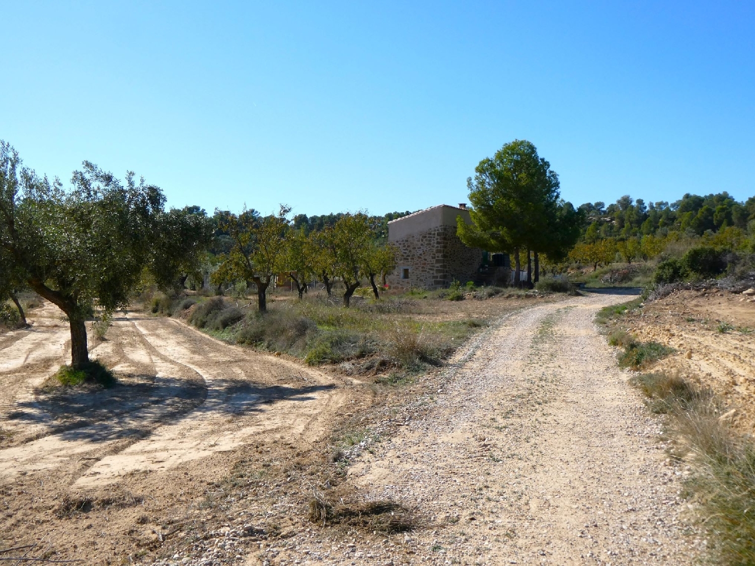  kaufen Landhaus Maella Bajo Aragón-Caspe 3