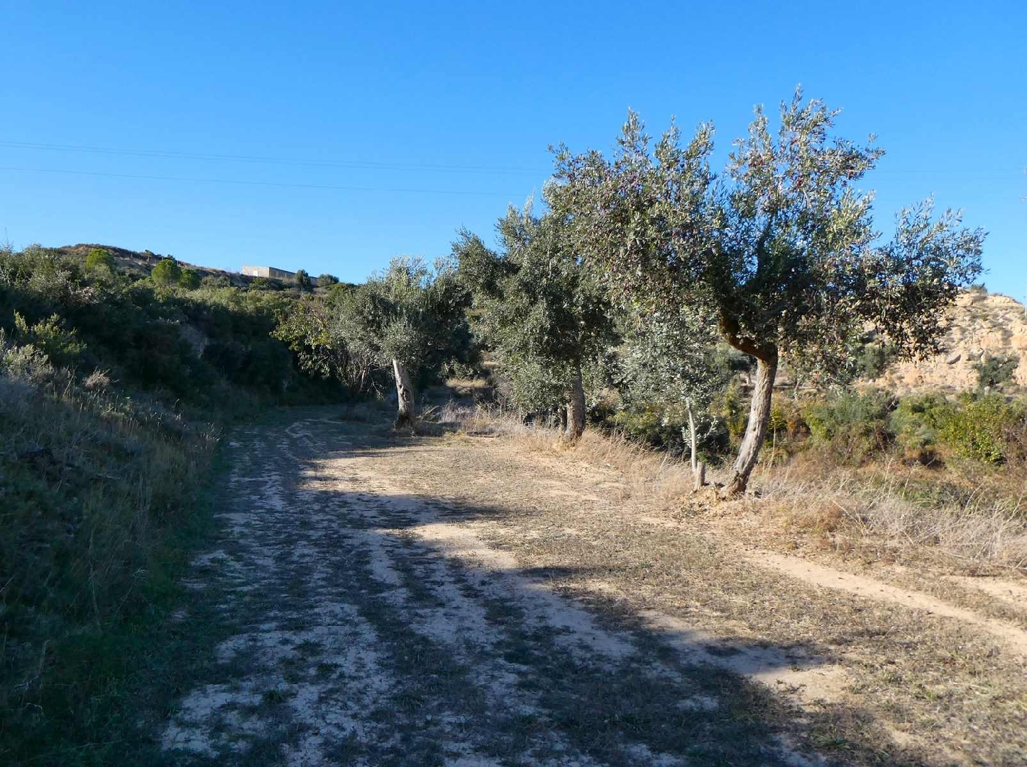  kaufen Landhaus Maella Bajo Aragón-Caspe 8