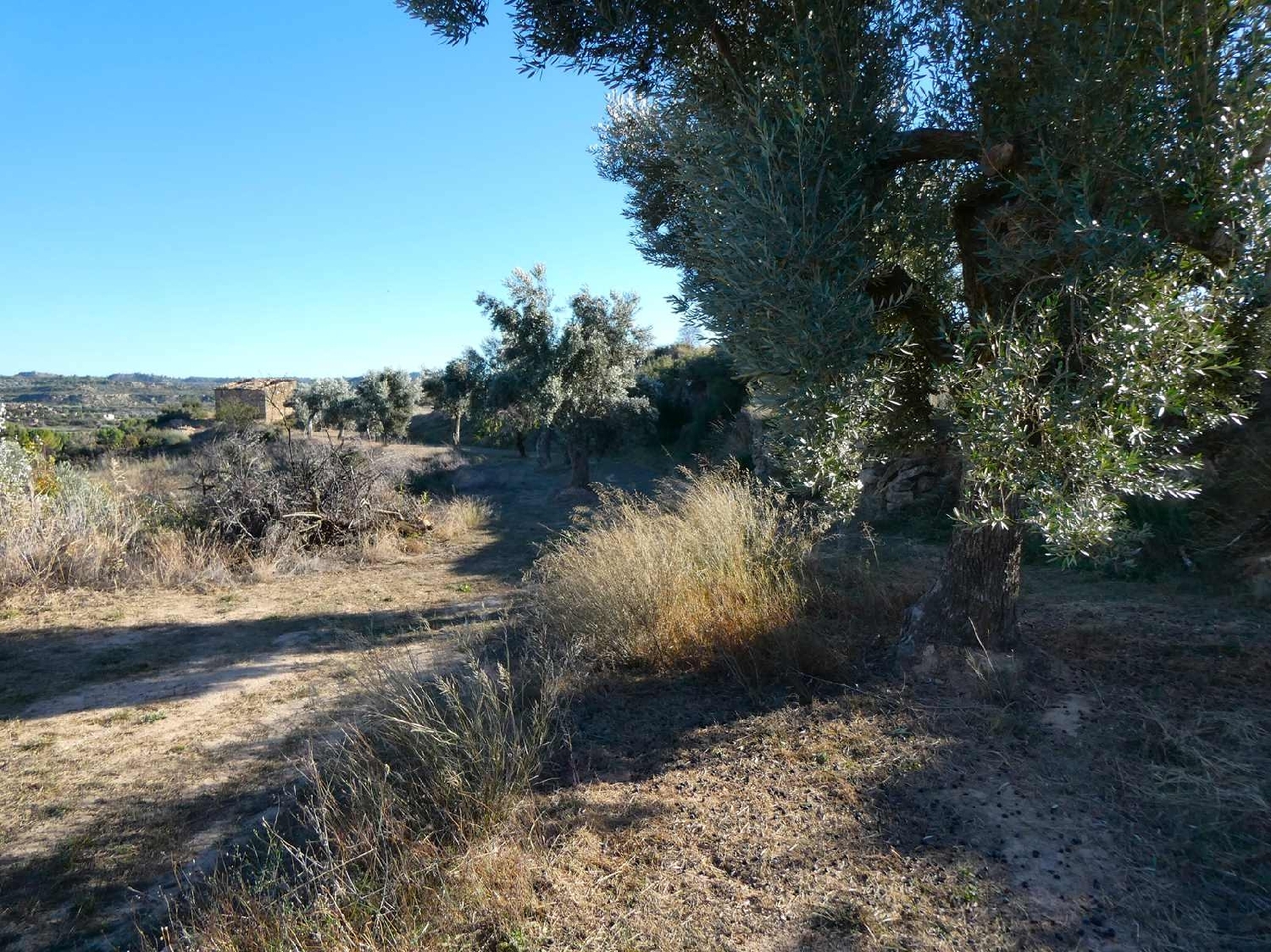  kaufen Landhaus Maella Bajo Aragón-Caspe 7