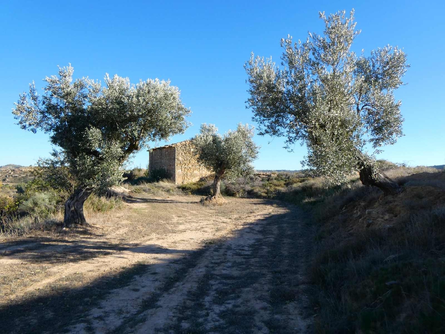  kaufen Landhaus Maella Bajo Aragón-Caspe 9