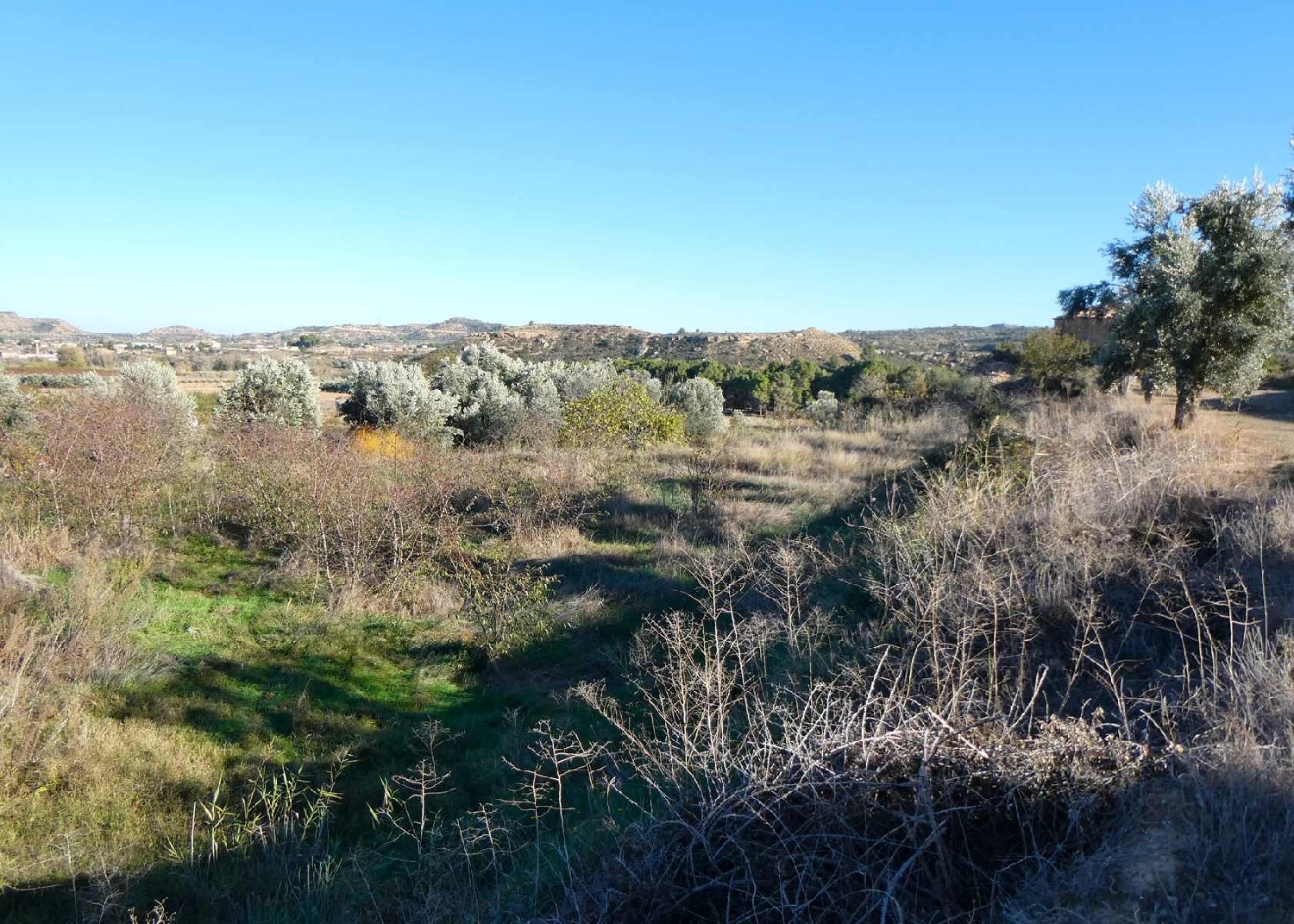  kaufen Landhaus Maella Bajo Aragón-Caspe 6