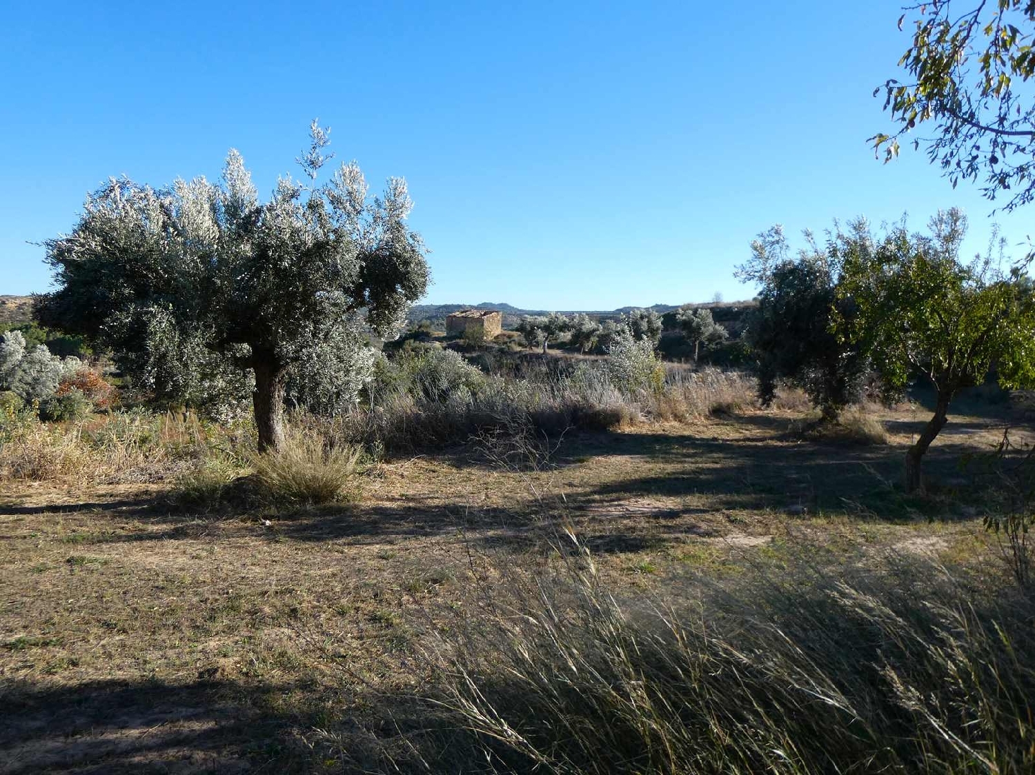  kaufen Landhaus Maella Bajo Aragón-Caspe 4